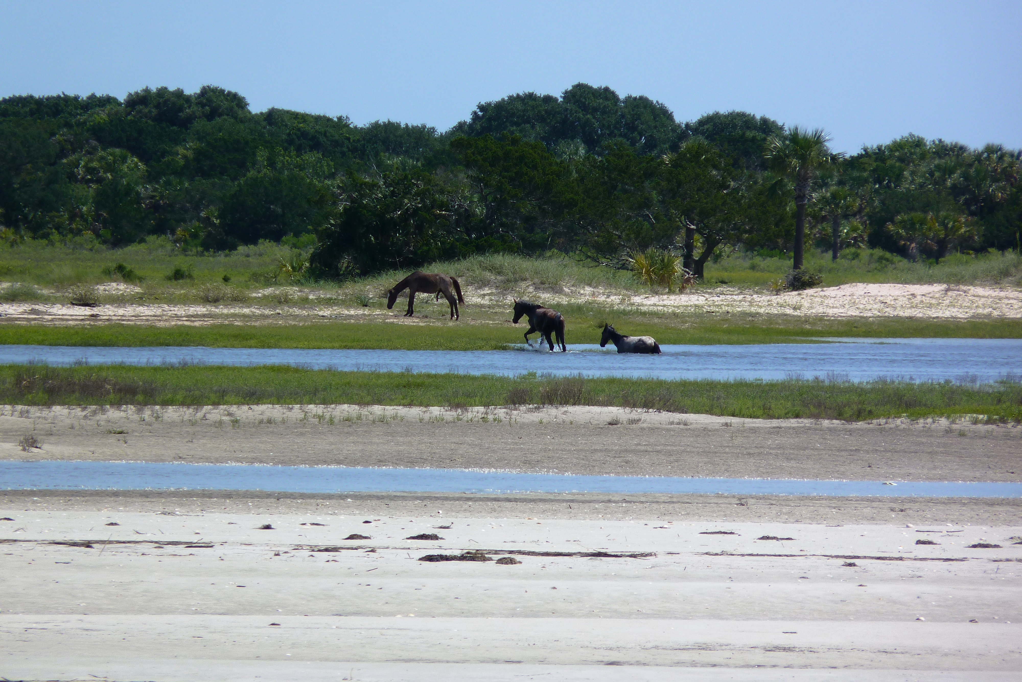 amelia-island-2013-066