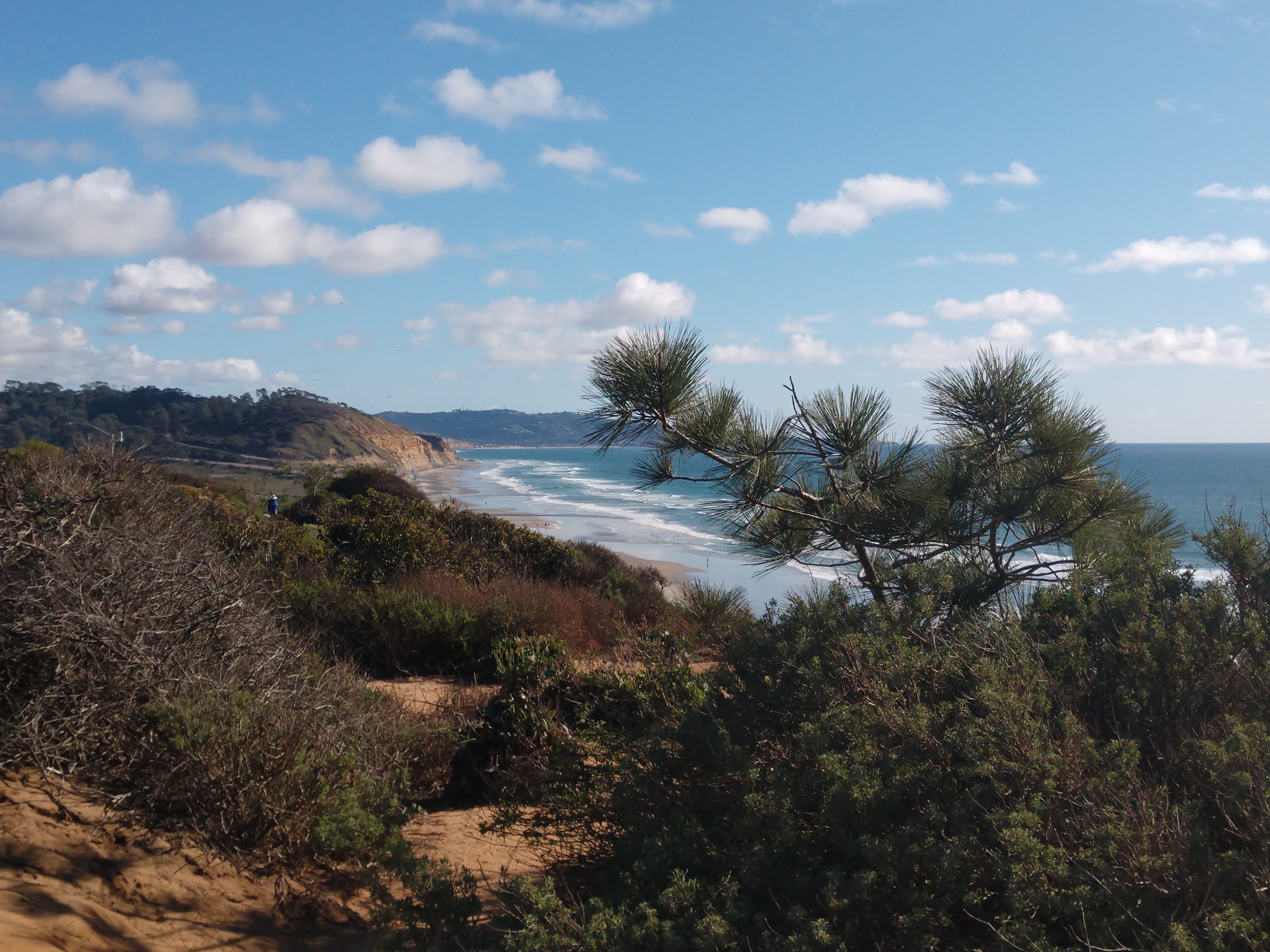 IMG_20180316_161728833