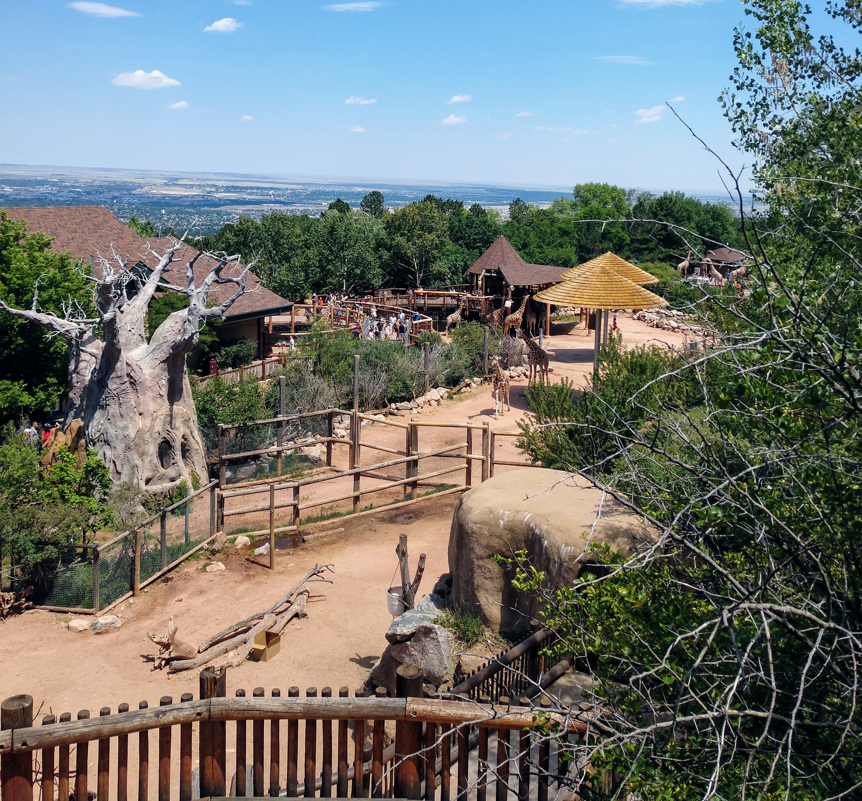 IMG_20180708_142323897