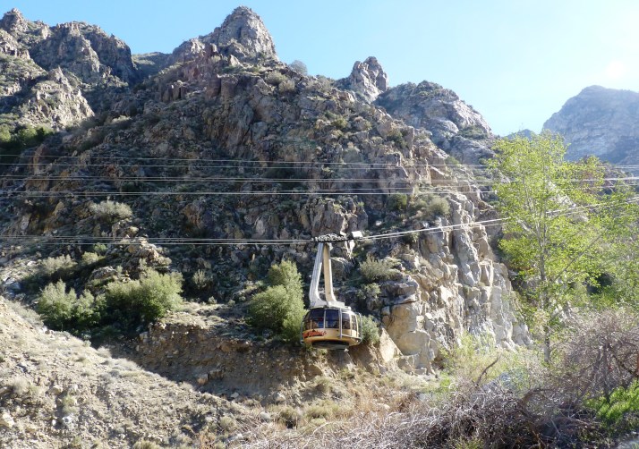 Palm Springs 2013 040