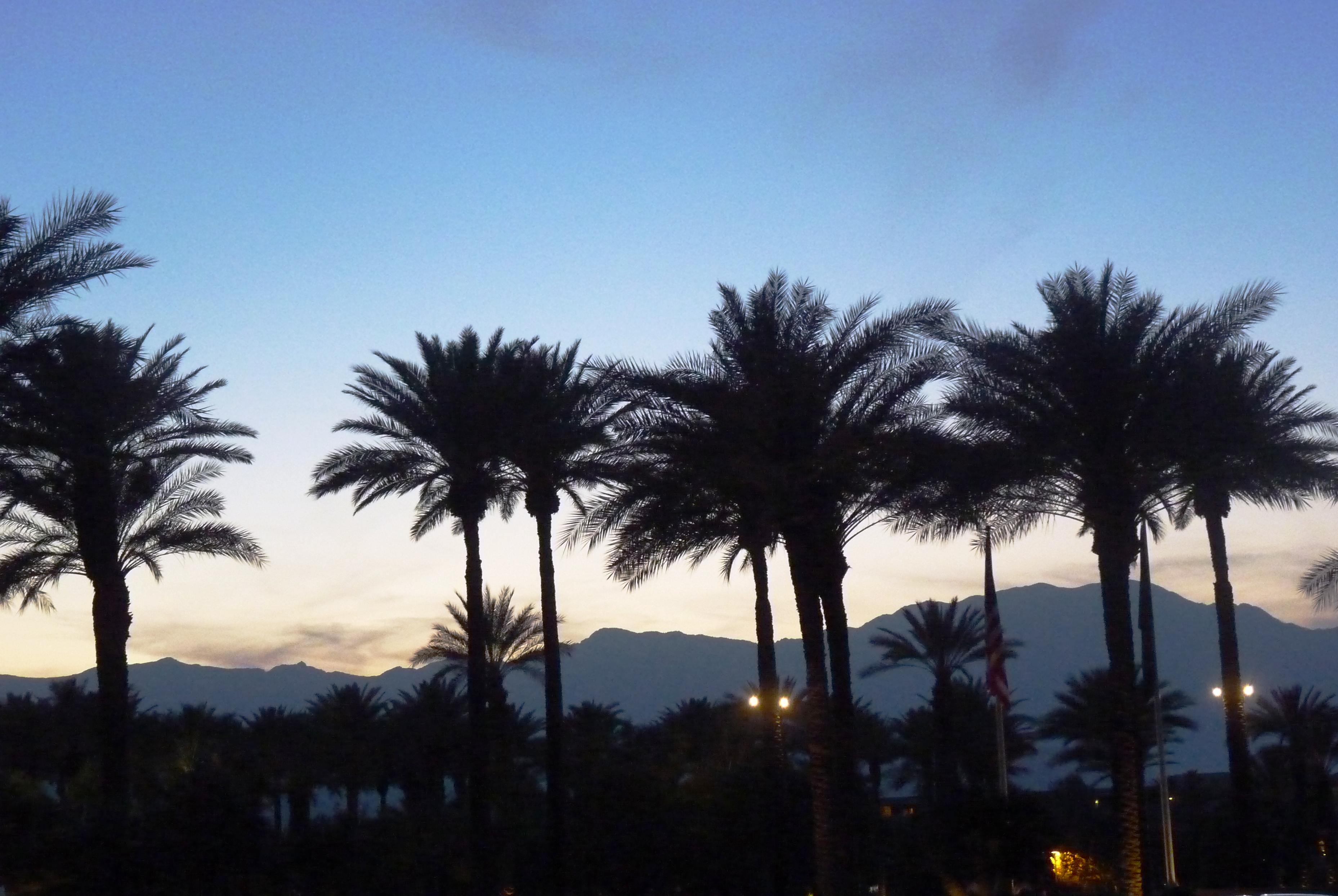 Palm Springs 2013 207