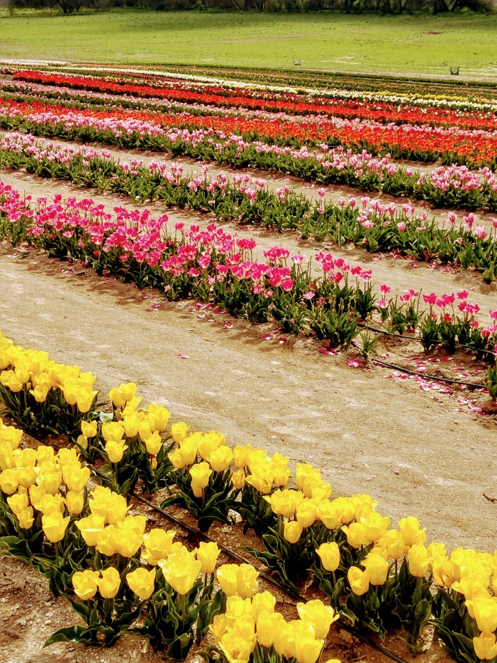 IMG_20190324_110032177_HDR (1)