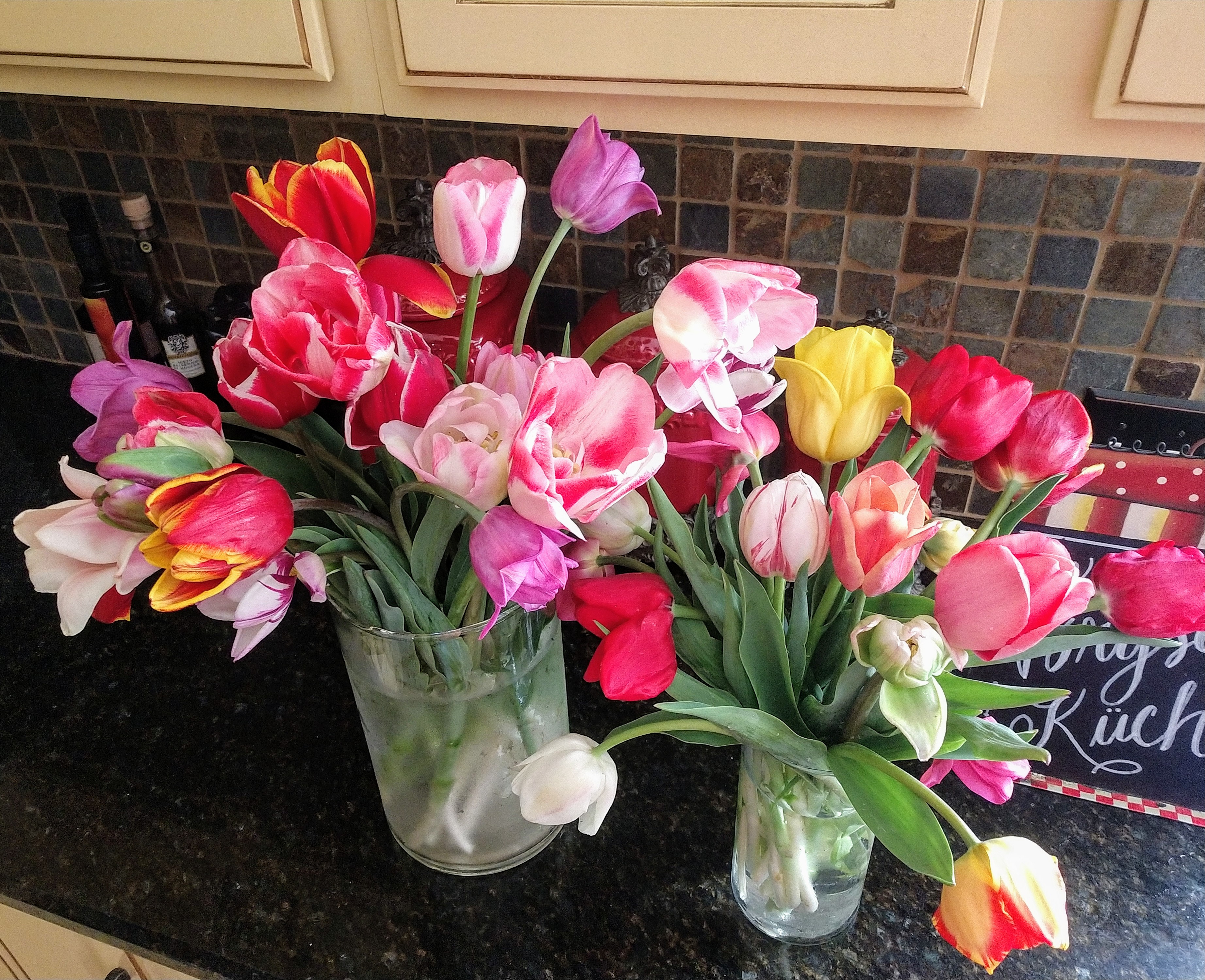 IMG_20190324_144428680