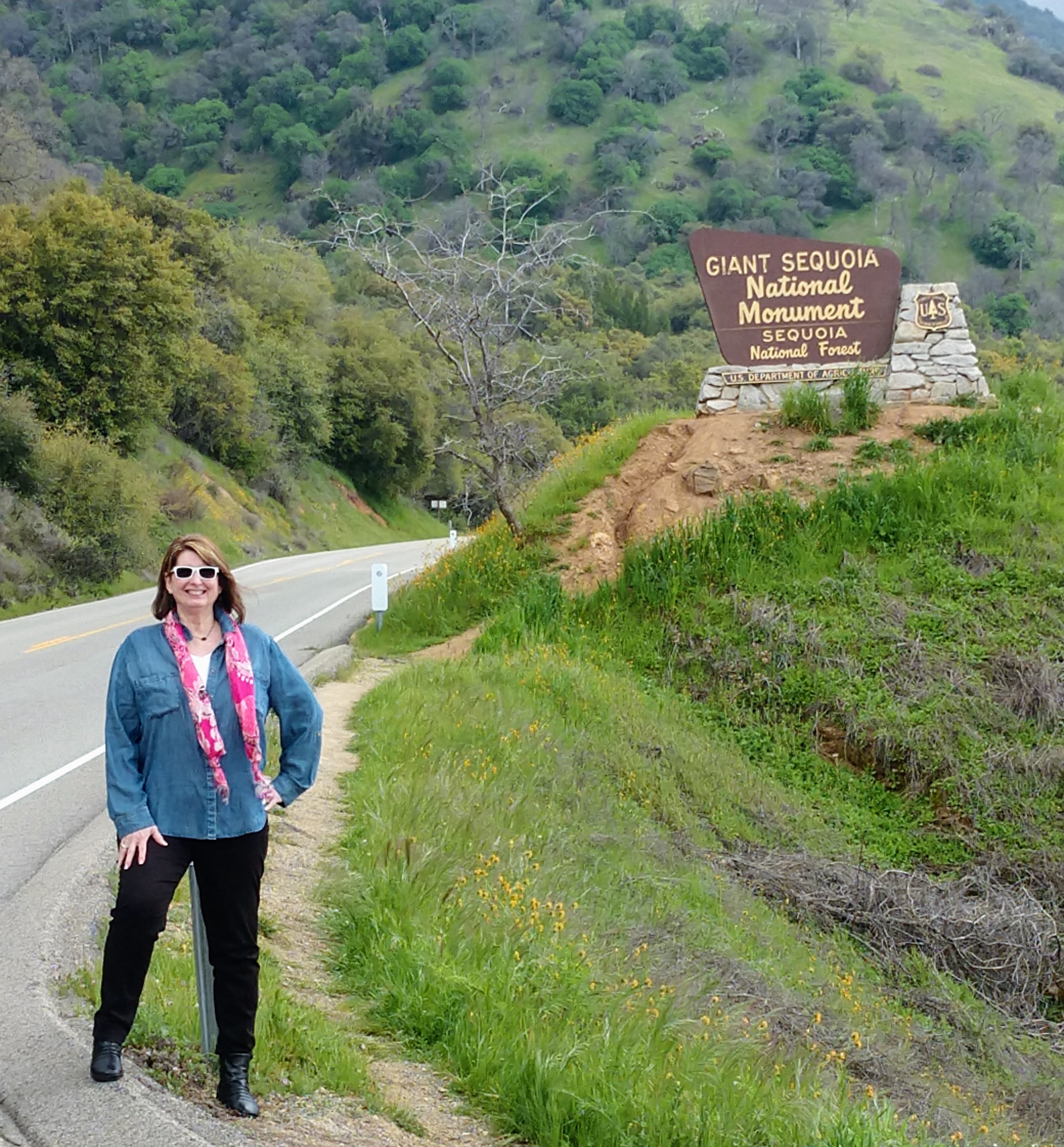 IMG_20190404_134629772_BURST000_COVER