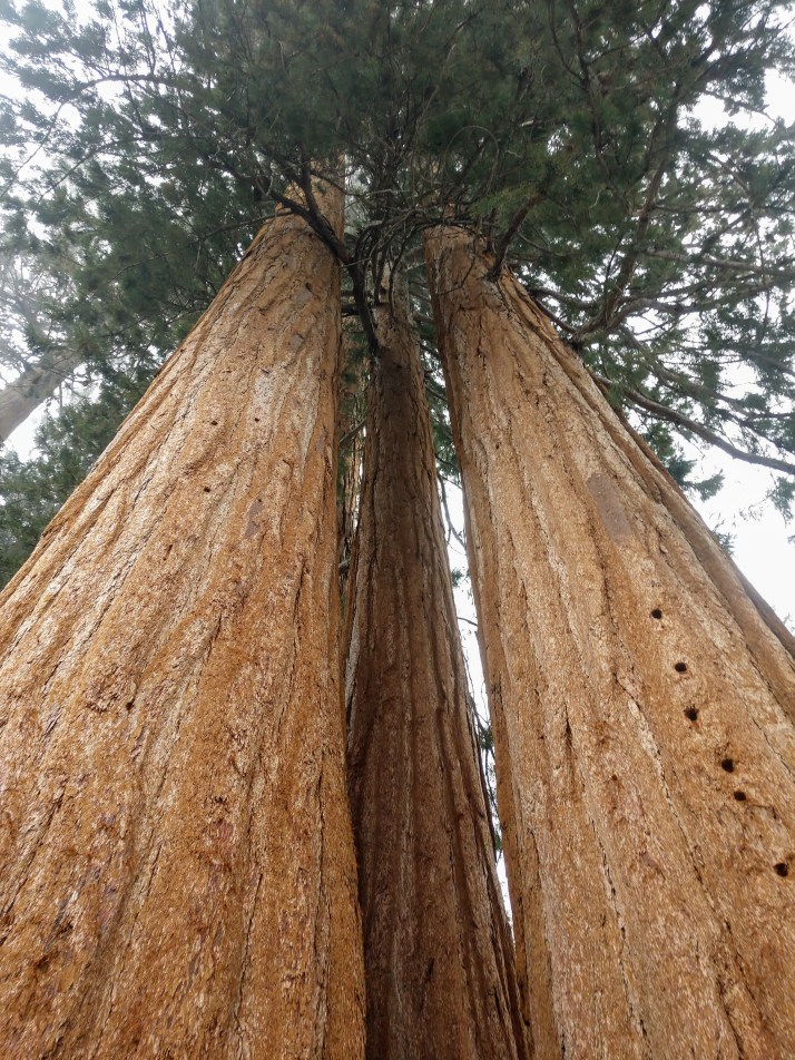 IMG_20190404_144129979