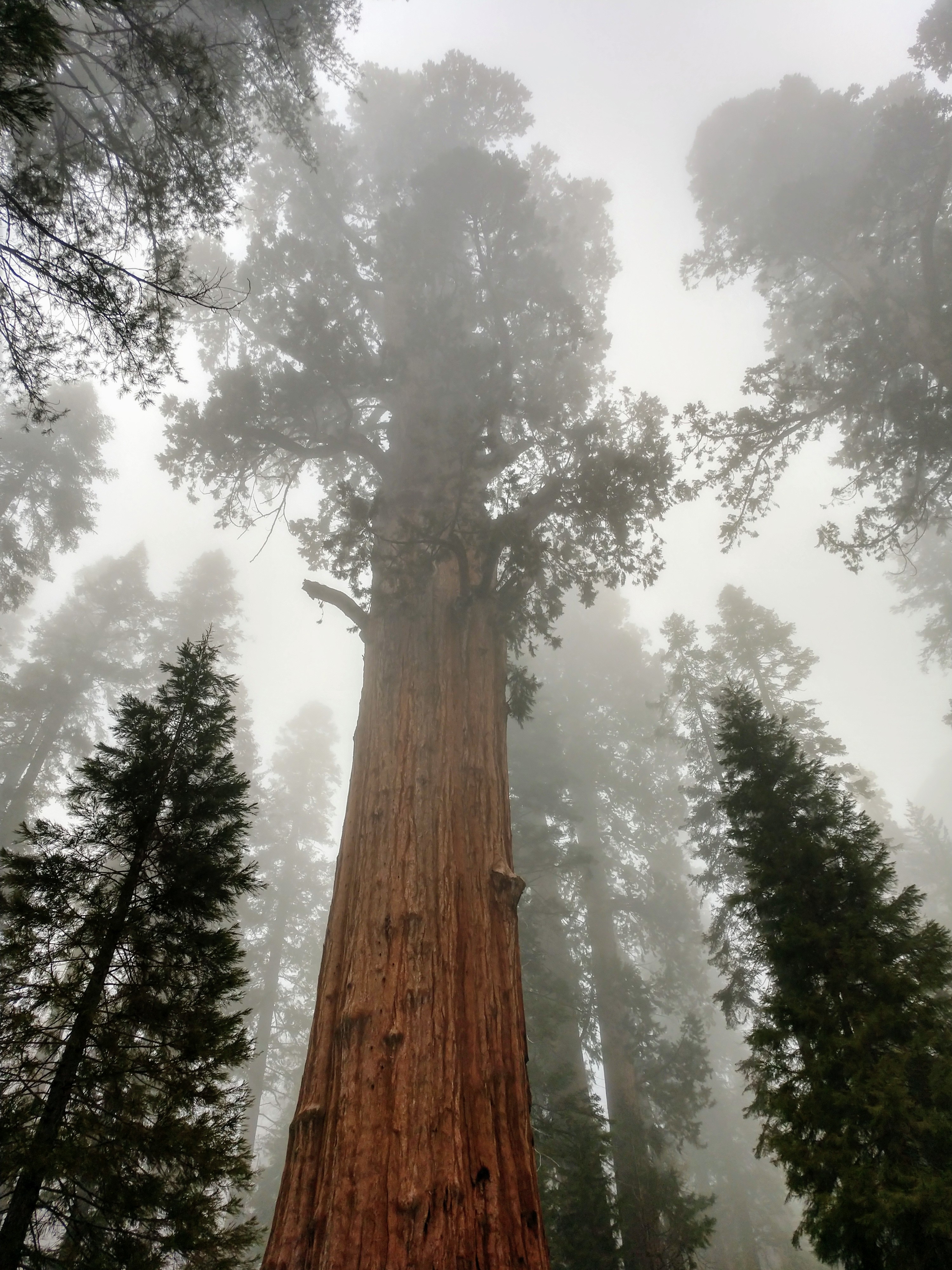 IMG_20190404_154536519_HDR