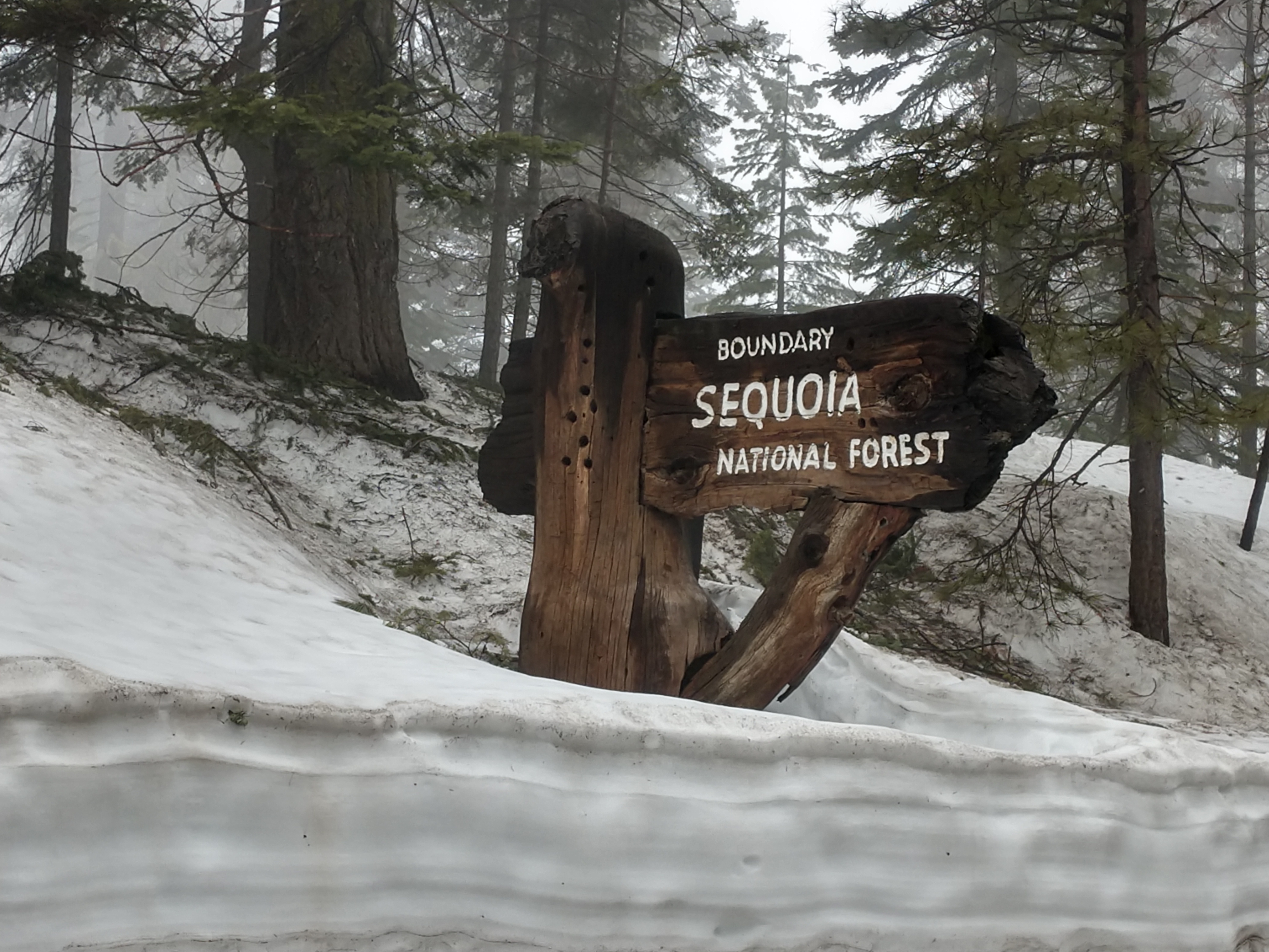 IMG_20190405_091830096_HDR