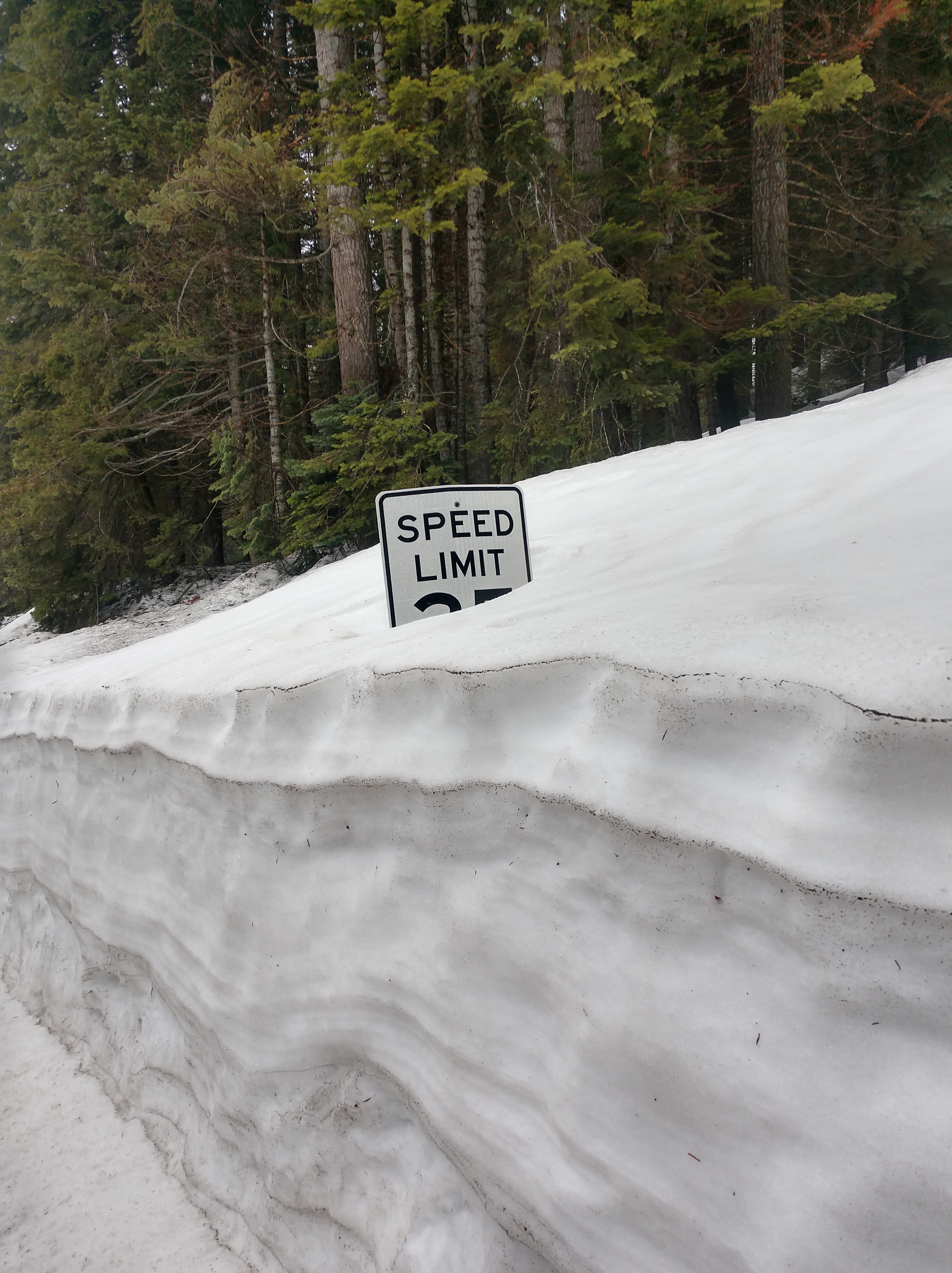 IMG_20190405_092010120_HDR