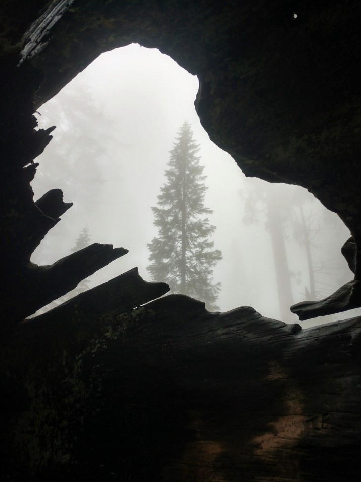 IMG_20190405_104517220_HDR