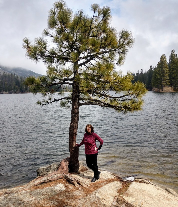 IMG_20190405_115127202_HDR