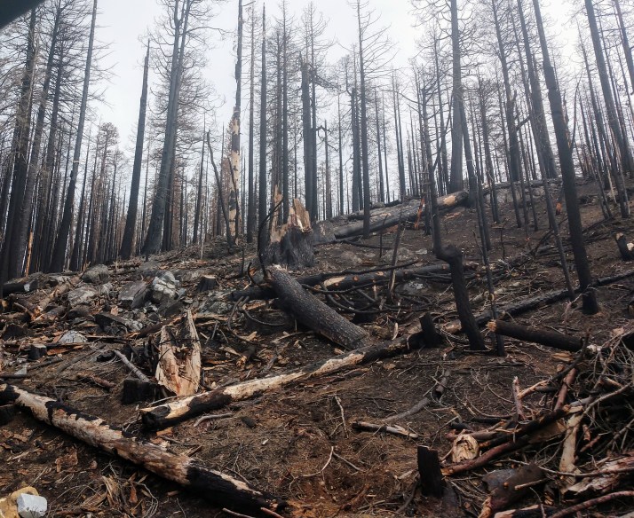 IMG_20190406_120110936