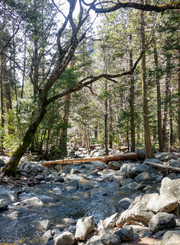 IMG_20190407_150822539_HDR