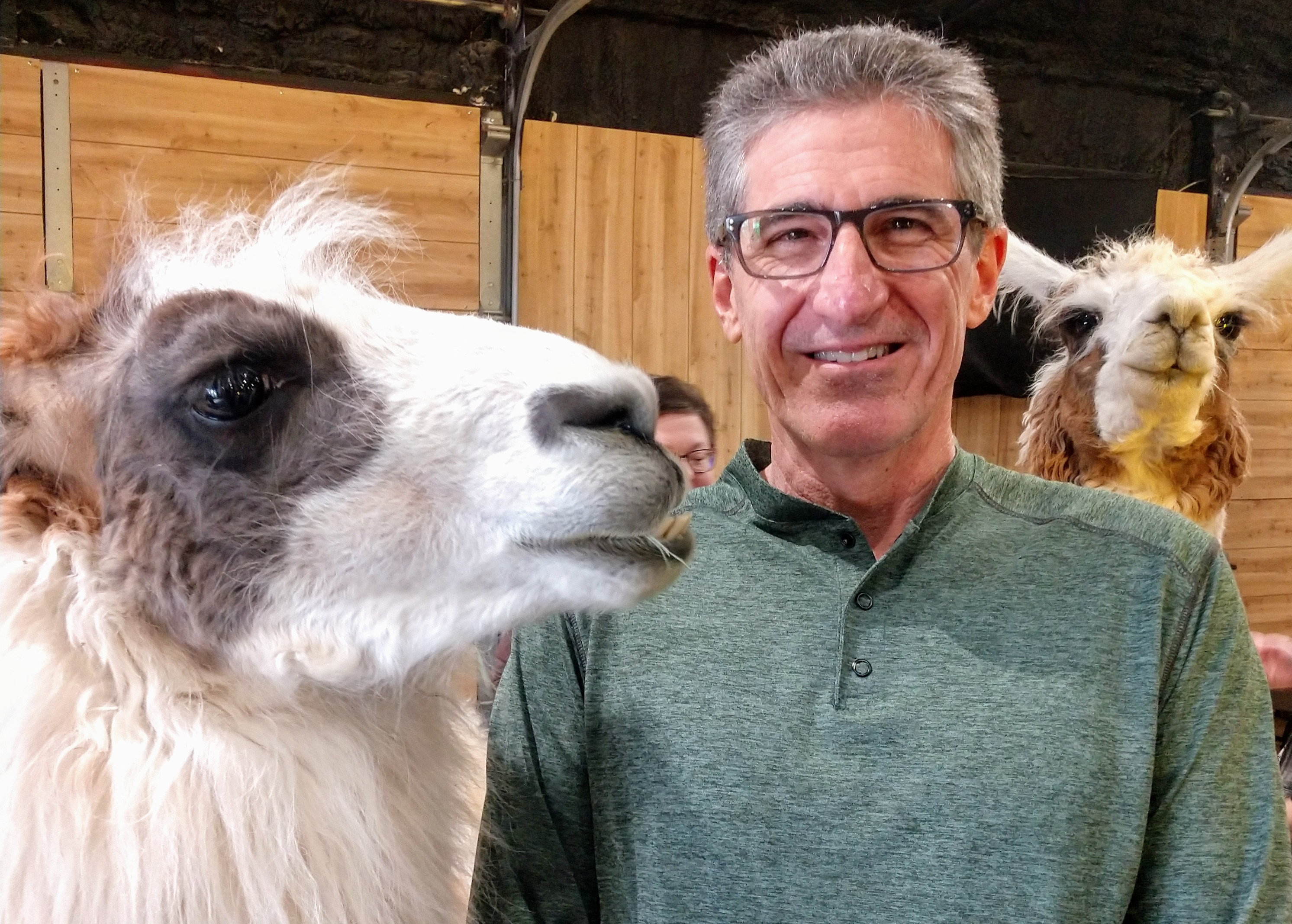 IMG_20190323_125254391