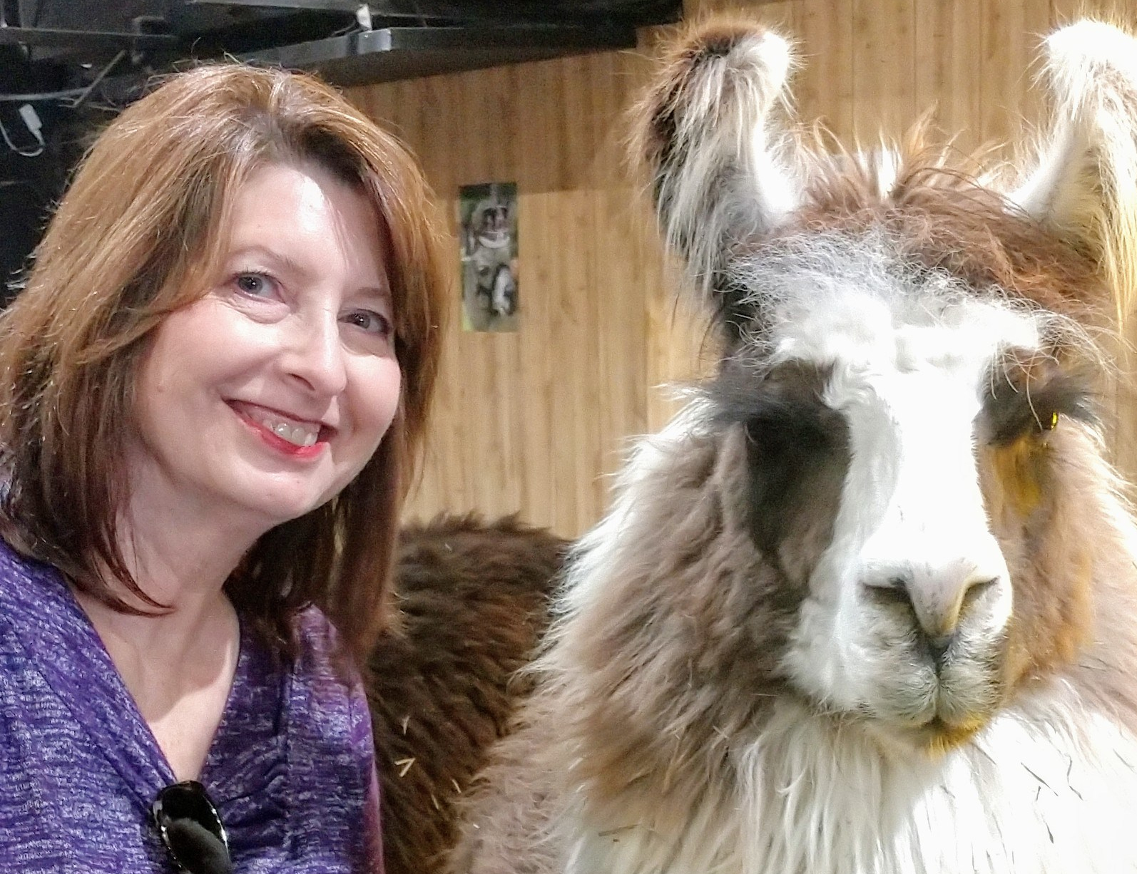 IMG_20190323_130039691_BURST000_COVER_TOP