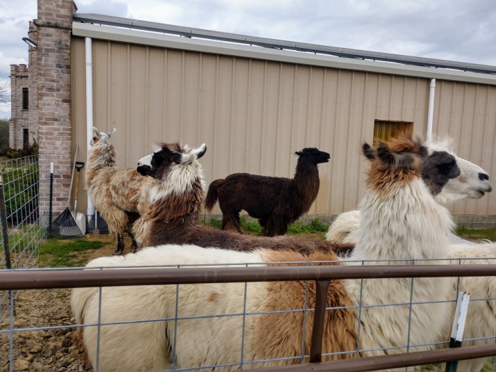 IMG_20190323_142111350_HDR