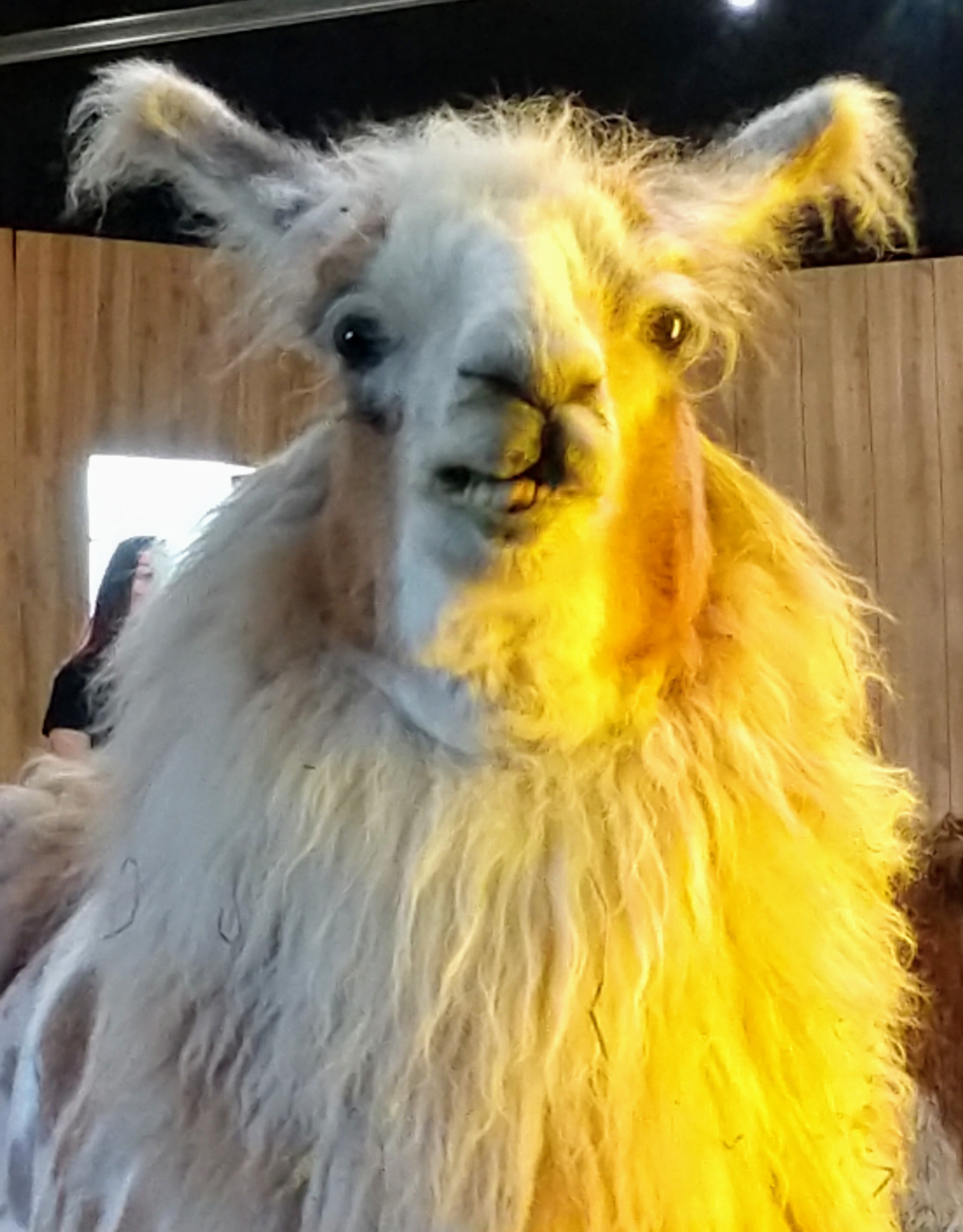 IMG_20190601_101220372