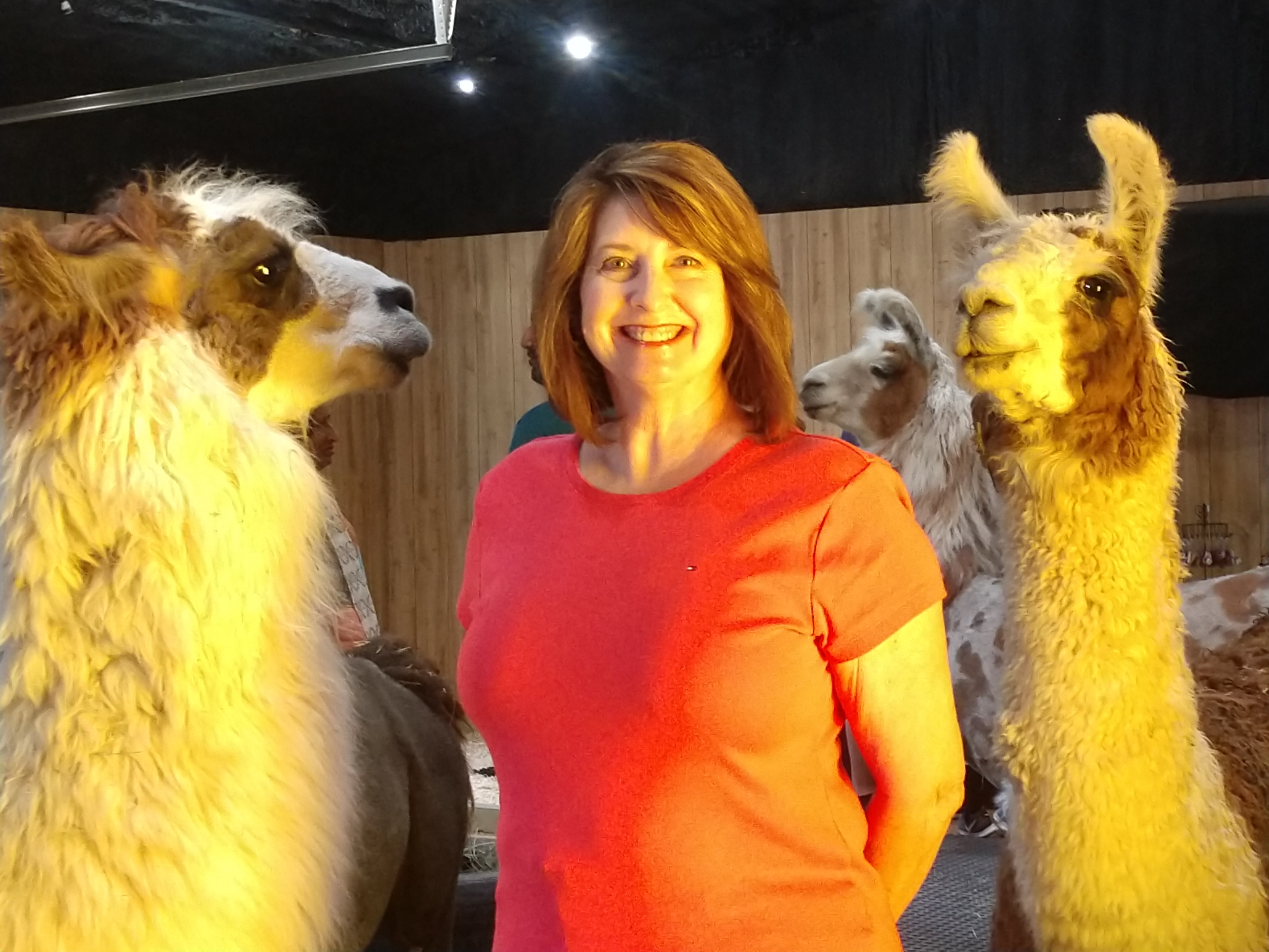 IMG_20190601_110940928