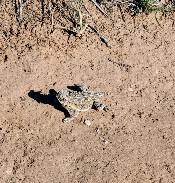 20200726_090442_original