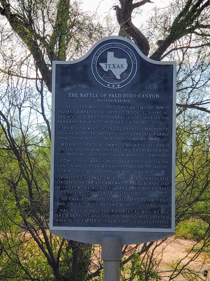 20200726_093746_original