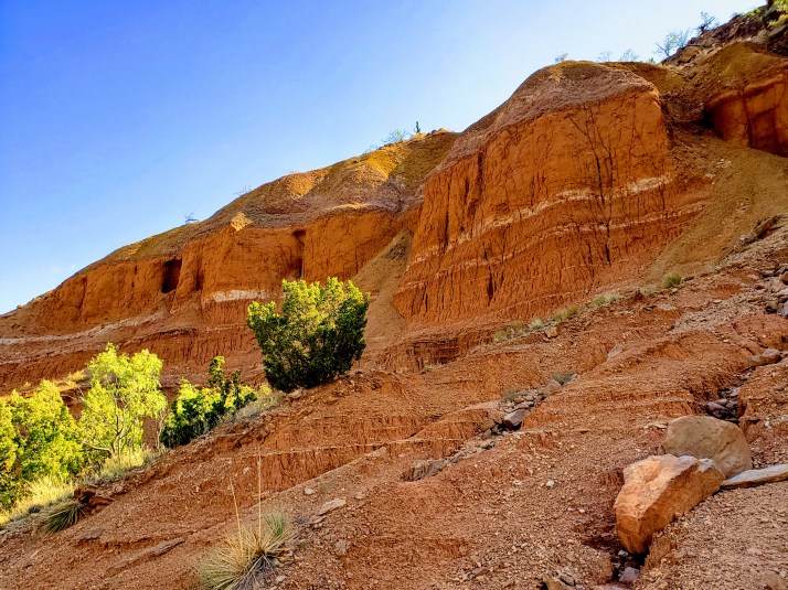 20200726_095026_original