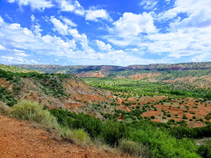 20200726_112913_original