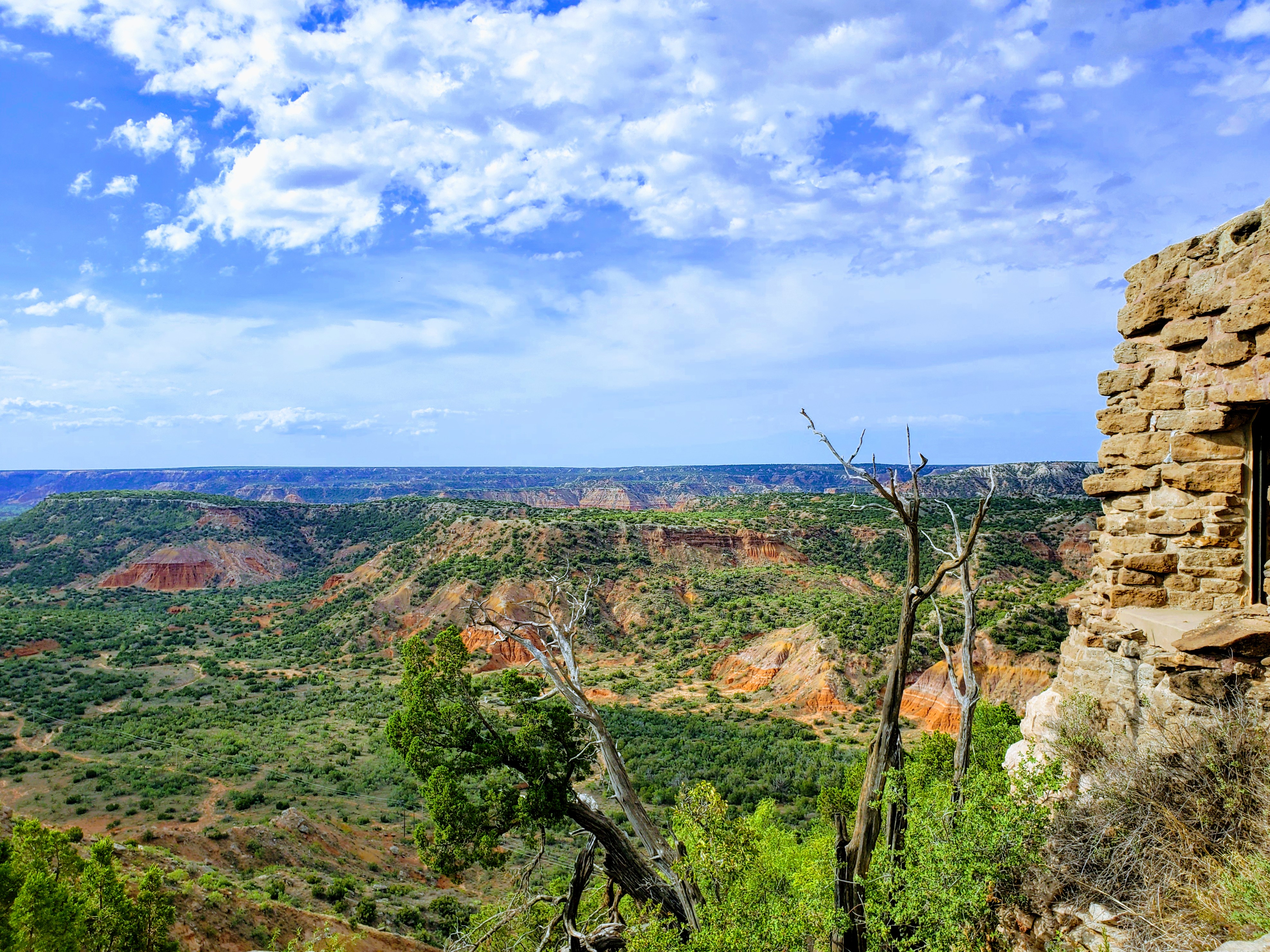 20200727_094619_original