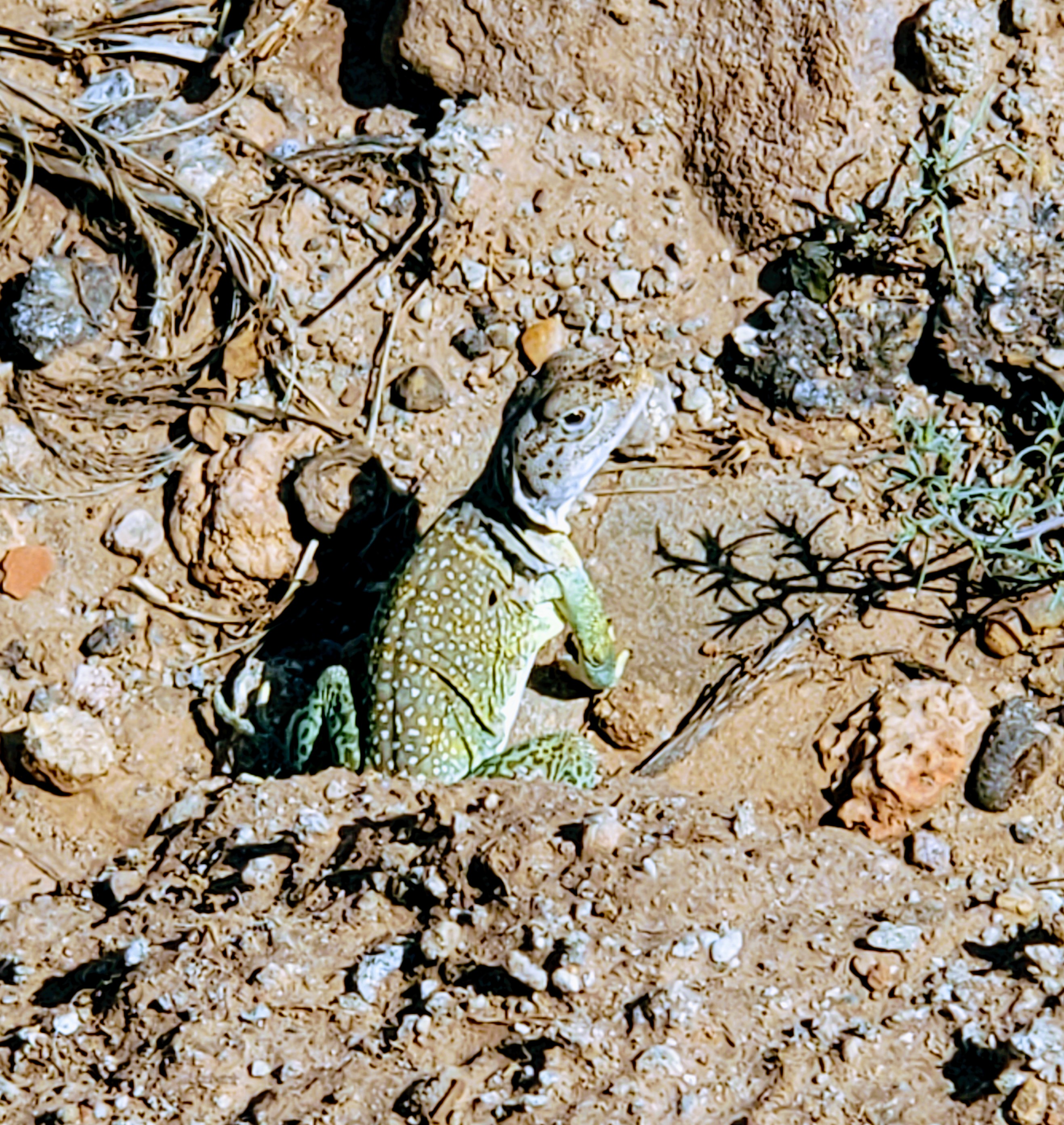 20200727_112736_original