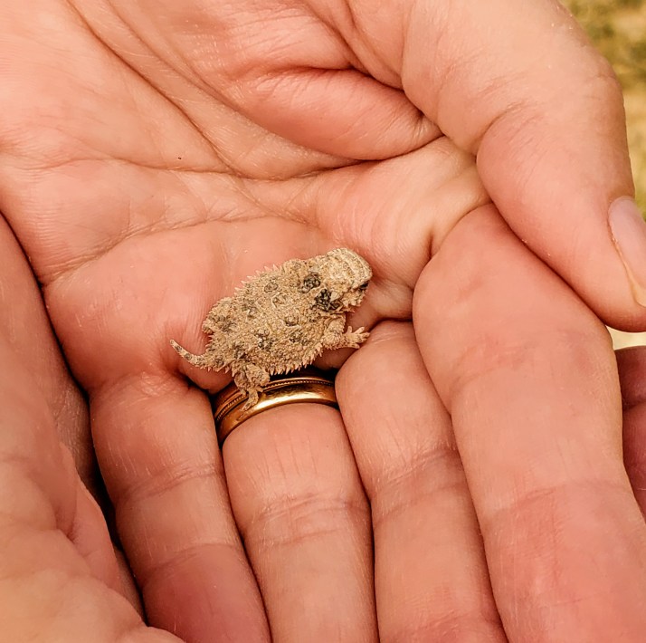 20200727_182331_original (1)